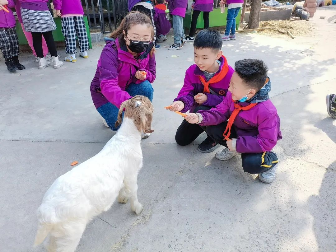 不負(fù)春光，快樂(lè)成長(zhǎng)——洛陽(yáng)東外小學(xué)部三年級(jí)研學(xué)旅行