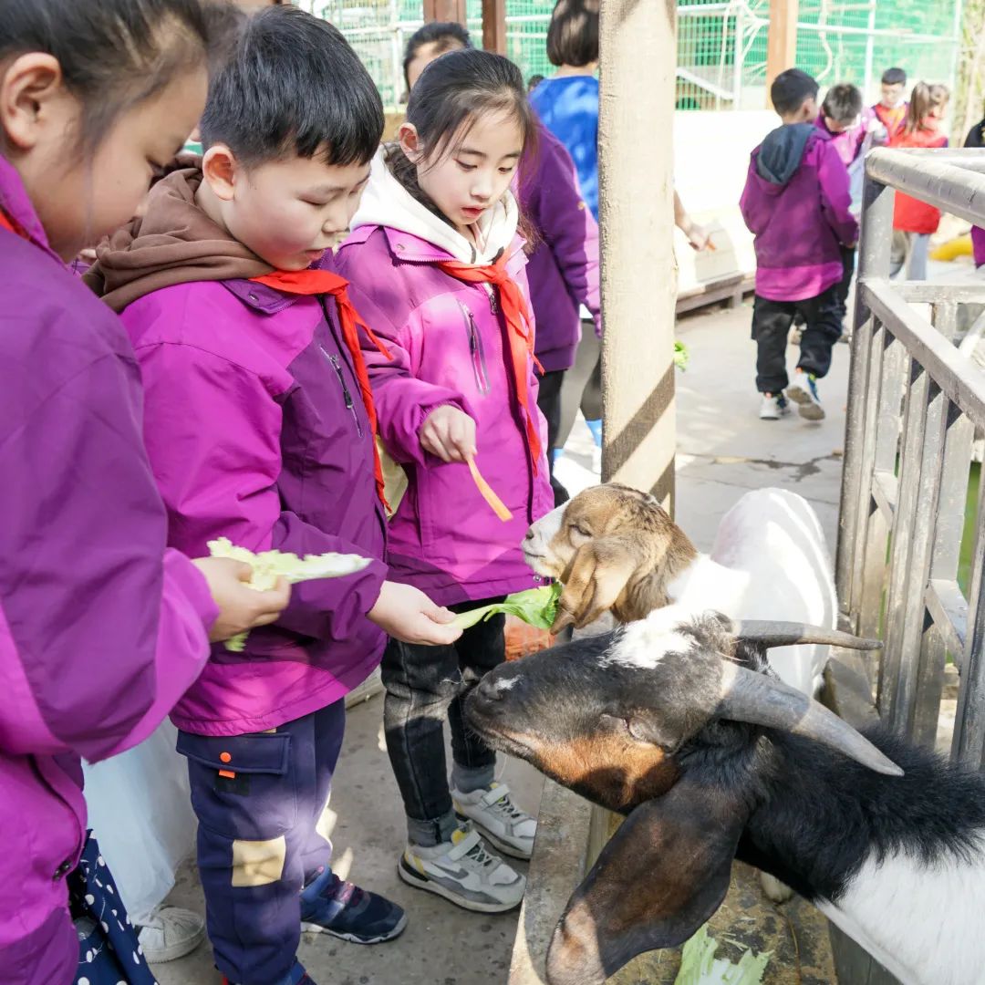 不負(fù)春光，快樂(lè)成長(zhǎng)——洛陽(yáng)東外小學(xué)部三年級(jí)研學(xué)旅行