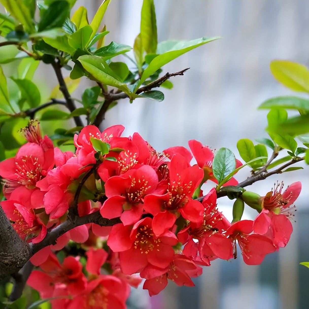 繁花似錦綻校園，核檢護航保平安